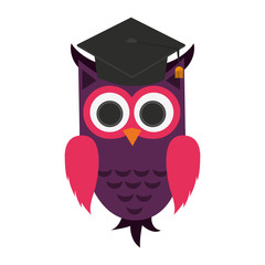 owl with graduation cap over white background. colorful design. vector illustration