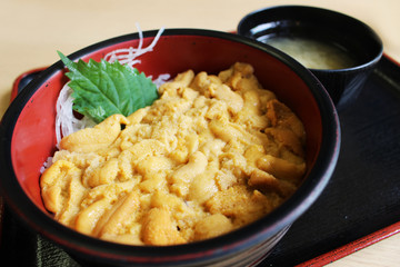 ウニ丼