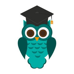 owl with graduation cap over white background. colorful design. vector illustration