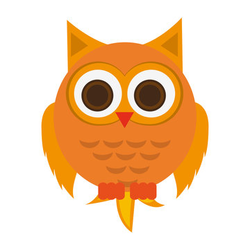 owl cartoon icon over white background. colorful design. vector illustration