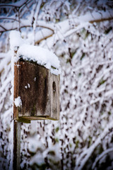 winter birdhouse
