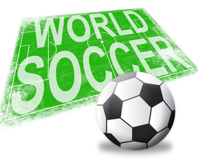 Obraz premium World Soccer Shows International Football 3d Illustration