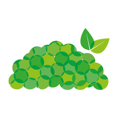 Green mountain leaves icon design, vector illustration image