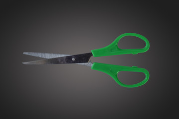 Kitchen scissors ,shears, stainless steel.