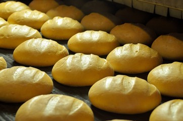 .Bread. Bakery. Bakery plant. Production of bread. Fresh white bread from the oven