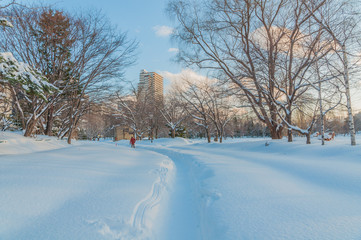 Fototapeta na wymiar Sapporo in winter season