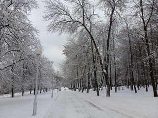 Зимняя аллея в городском парке (Уфа)