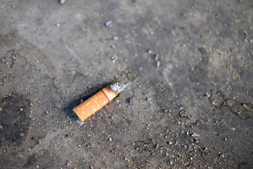 Cigarette butts on the street