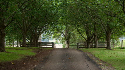 Driveway to a farm
