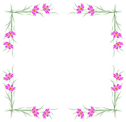 Fototapeta na wymiar daisies summer flower isolated on white background.