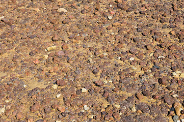 Low Tide