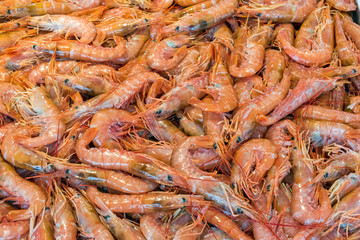 Fresh prawns for sale a market in Palermo, Sicily