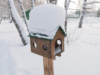 Feeder for squirrels in the park covered with snow