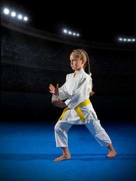 Girl martial arts  fighter