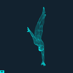 Gymnast. Man. 3D Model of Man. Human Body Model.