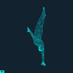 Obraz premium Gymnast. Man. 3D Model of Man. Human Body Model.