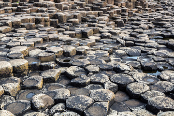 Giant's Causeway in Northern Ireland