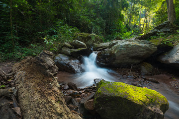 The stream flows from Jum Pan Tong waterfall is located in Doi Luang national park, Baan Tum subdistrict of Payao province, Thailand.
