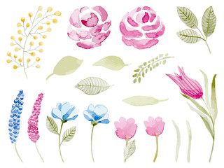 Watercolor vector set of decorative floral elements. Floral set 