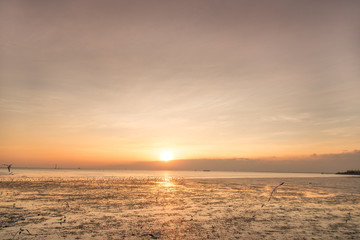 Tranquil scene with seagull flying at sunset