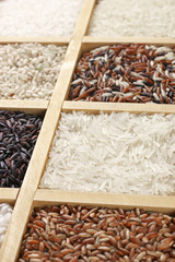 Various rice in box