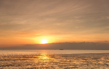 Tranquil scene with seagull flying at sunset