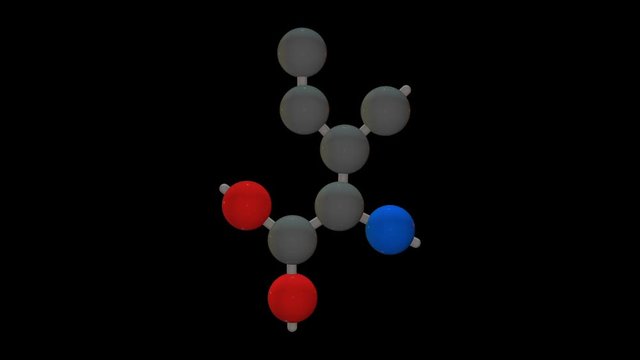 L-isoleucine - Amino Acids 3D Animation - Loop