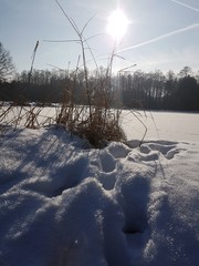 Styczeń