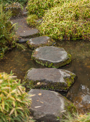 stepping stones across stream