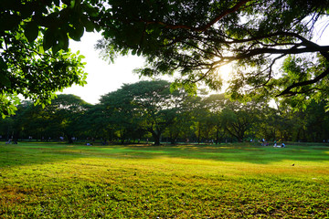 Wachirabenchathat Park or State Railway Public Park is a name of public park in Chatuchak district, Bangkok, Thailand.