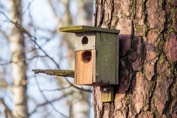 Birdhouse with two holes