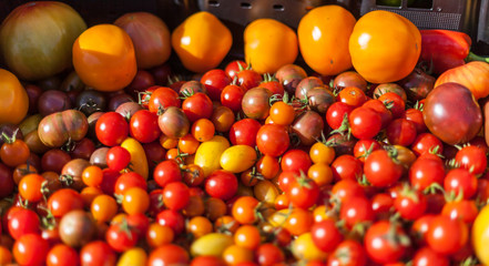 cherry tomatoes in farmer's market