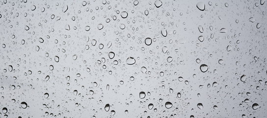 Water droplet background