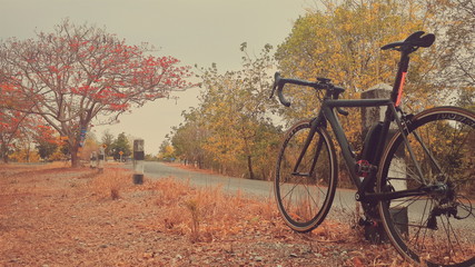 riding a bicycle