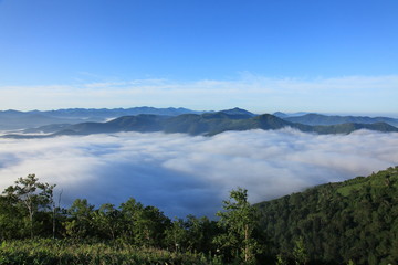 雲海