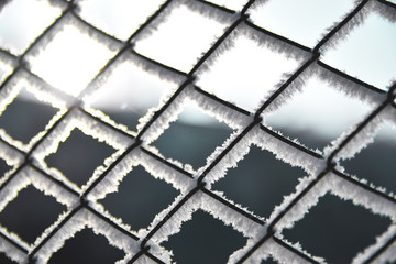 Fototapeta premium Rime covered metal grille