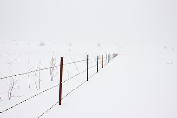 Barbed Wall