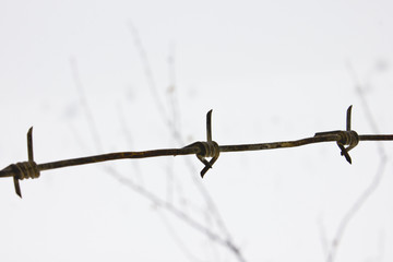 Barbed Wall