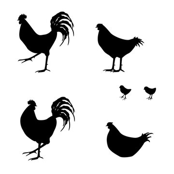 ニワトリ Stock イラスト Adobe Stock