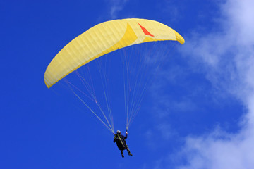 Paraglider