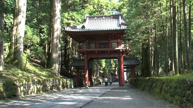 Tilt from Walkthrough  Futarasan Shrine, Japan