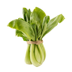 Bok choy vegetable isolated on the white background.