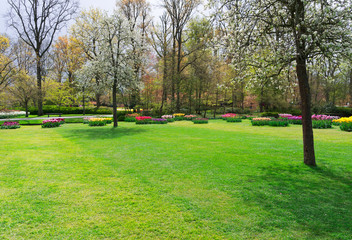 Colourful Flowerbeds and Blooming Spring Trees in an Dutch Formal Garden