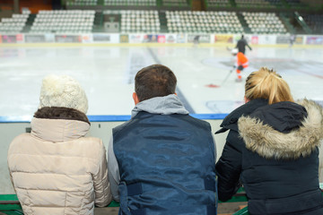 People watching ice hockey game