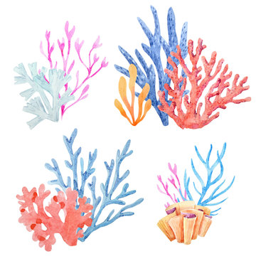 Watercolor underwater corals