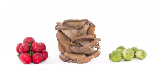 cabbage, radish and Oyster mushrooms on a white background isolated