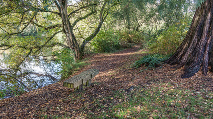 park bench at pond