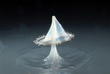 Fototapeta premium water drop collision