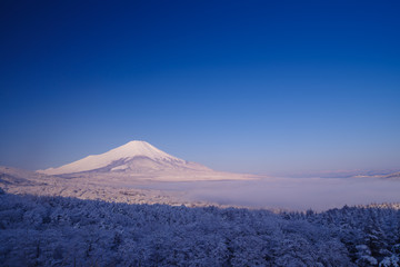 雪景色の富士山