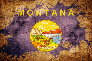 Vintage montana flag
